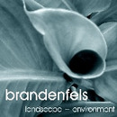 Logo brandenfels landscape + environment PartG mbB