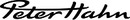 Logo Peter Hahn GmbH