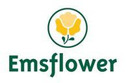 Logo Emsflower GmbH