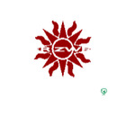 Logo Der Zweig GmbH