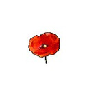 Logo Ambulanter Pflegedienst Mohnblüte GbR