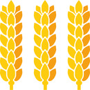 Logo Dresdener Mühle GmbH