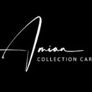 Logo Amian Collection Cars
