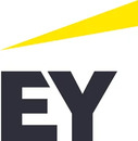 Logo EY GmbH & Co. KG WPG