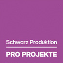 Pro Projekte GmbH & Co. KG Logo Pro Projekte GmbH & Co. KG