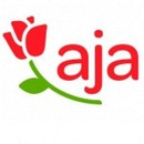 Logo a-ja Warnemünde