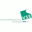 Logo VSE Netzwerk Pflegefamilien
