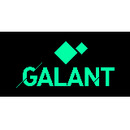 Logo Galant Bau GmbH